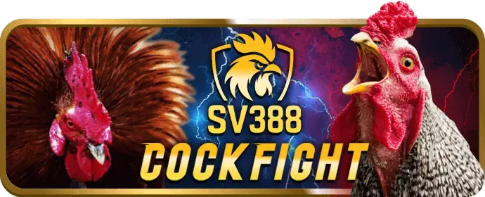 Bảo vệ thông tin cá nhân khi chơi 33win68